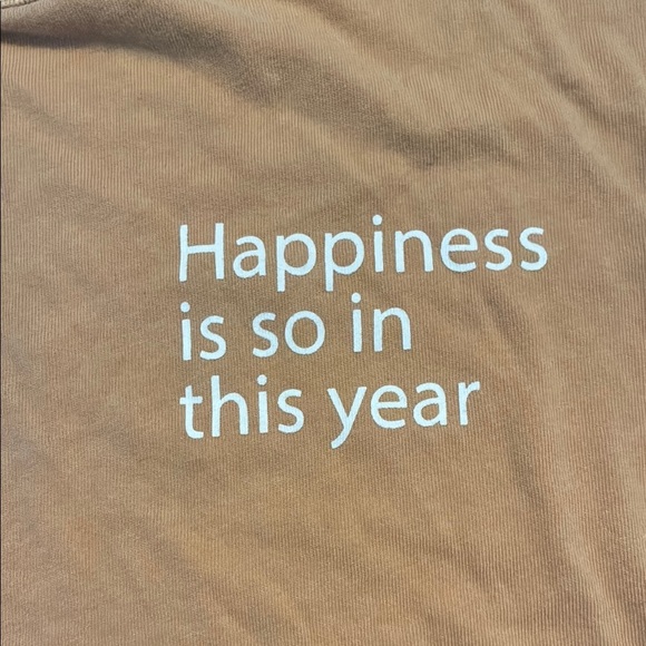 Aerie Tan Short Sleeve Oversized Tee - Picture 3 of 9